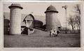 1928 - New Jaus Barn and bull.jpg