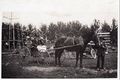 1918- Horse, buggy, mortorcycle, unkown people.jpg