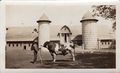 1928 - Otto Jaus with bull in front of new barn.jpg