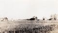 1917 - Henry Gruenhagen farm in Hallock MN.jpg