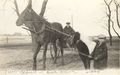 1926 - Alfred Baur horse and Ralph Baur.jpg