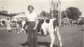 1938 - Marvel Jaus at Sibly County Fair in Arlington with 4H calf.jpg