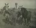 Bill Sabo with horses.JPG