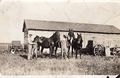 1917 - Henry Gruenhagen with his horses in Hallock MN.jpg