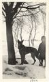 1926 - Ralph Baur and dog.jpg